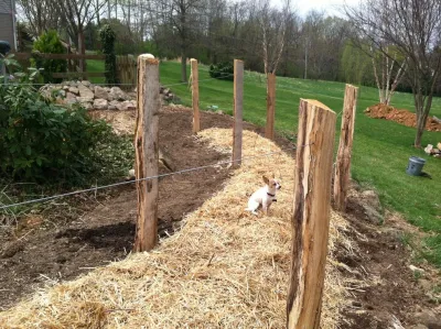 Ecologia: Edible + Ecological Landscapes - Landscape Design in Frederick, MD