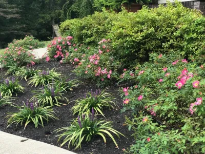 Designs by Denise LLC - Landscape Construction in Lexington, KY