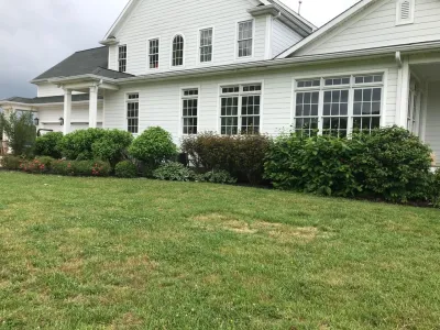 Designs by Denise LLC - Landscape Construction in Lexington, KY