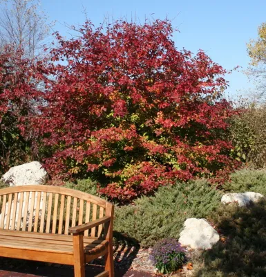 Elan Landscape Development Inc. - Landscape Design in Libertyville, IL