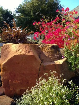 Hill Country in Cypress Texas — Landscape Design project by Designs By Elizabeth