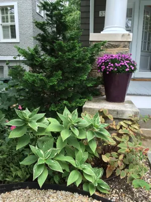 Cleveland Park, DC — Landscape Design project by Fine Garden Design