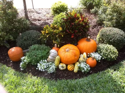 Fall Festive Landscaping — Landscape Design project by Detailed Landscape in Fort Collins