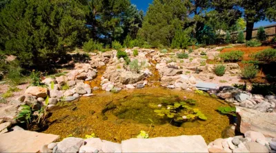 Detailed Landscape - Garden Remodeling in Fort Collins, CO