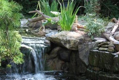 Aquatic Sanctuary — Landscape Design project by Devore's Land & Water Gardens
