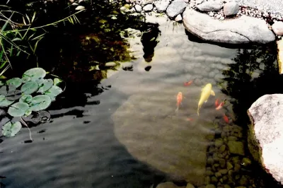 Ponds & Water features — Landscape Design project by Devore's Land & Water Gardens
