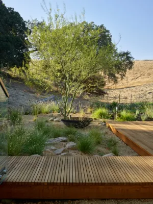 Dhd Damir Hurdich Design - Patio Design & Installation in Los Altos, CA