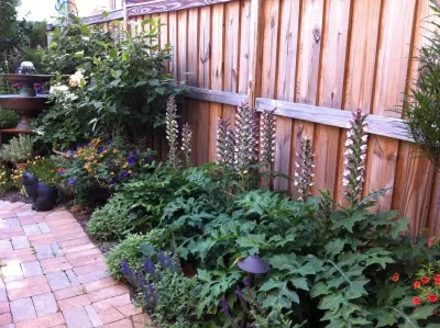 Garden Appeal - Landscape and Outdoor Living, LLC - Landscape Design in 