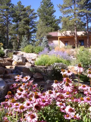 DHM Design Corp - Landscape Design in Denver, CO