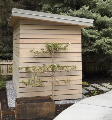 Dig Landscape Design - Garden Remodeling in Salt Lake City, UT