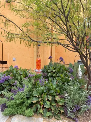 Dirt Diva Designs - Landscape Design in Studio City, CA