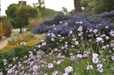 Dirt Diva Designs - Landscape Design in Studio City, CA
