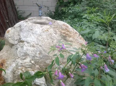 Dirt Diva Designs - Landscape Design in Studio City, CA