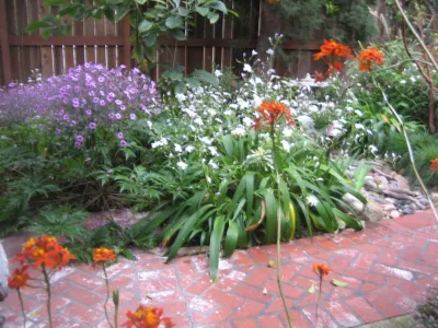 Dirt Diva Designs - Landscape Design in Studio City, CA