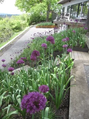 2.ink Studio | Landscape Architecture - Landscape Design in Portland, OR