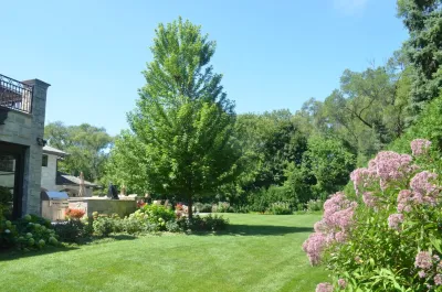 Doering Landscape Company - Outdoor Lighting Installation in Barrington, IL