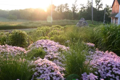 Donald Pell - Gardens - Patio Design & Installation in Phoenixville, PA