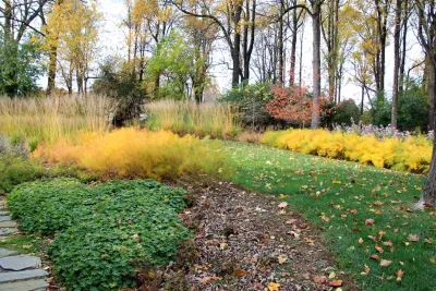 Malvern Garden — Landscape Design project by Donald Pell - Gardens in Malvern