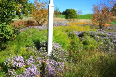 Donald Pell - Gardens - Patio Design & Installation in Phoenixville, PA