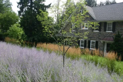 Front Entry Garden (lawn replacement), Ardmore by Donald Pell - Gardens