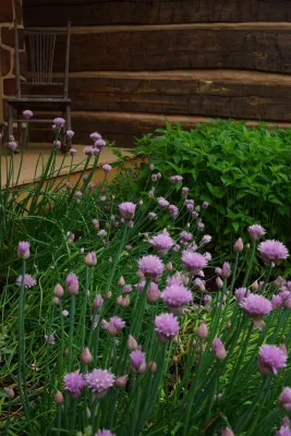 Royersford Front Hillside Garden by Donald Pell - Gardens