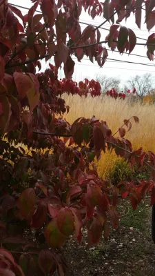 Donald Pell Studio Gardens, East Vincent Township — Landscape Design project by Donald Pell - Gardens in Phoenixville