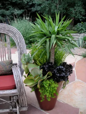 Denver Dirty Girls - Landscape Design in Denver, CO