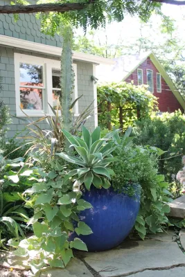 Denver Dirty Girls - Landscape Design in Denver, CO
