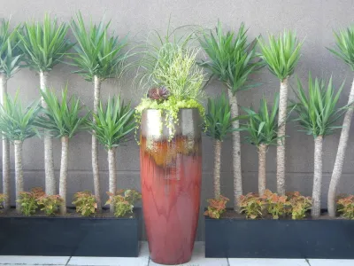 Denver Dirty Girls - Landscape Design in Denver, CO