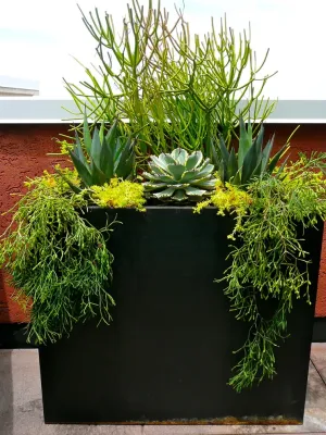 Denver Dirty Girls - Landscape Design in Denver, CO