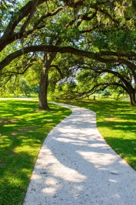 Seavers Landscape - Landscape Maintenance in Houston, TX