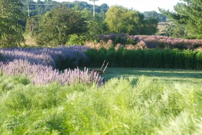 Stylized Meadow on Natural Lands Trust and Stroud Preserve, West Chester PA — Landscape Design project by Donald Pell - Gardens in West Chester