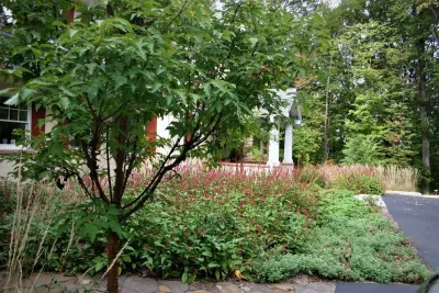 Arts and Crafts Woodland Home Gardens, Phoenixville by Donald Pell - Gardens