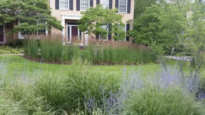 Suburban Neighborhood Garden, Wayne PA by Donald Pell - Gardens