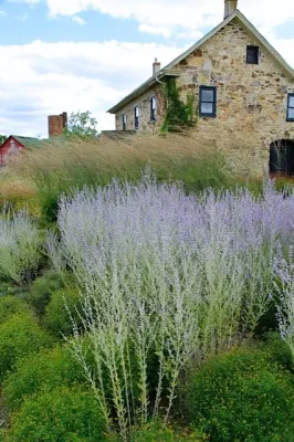 Donald Pell - Gardens - Patio Design & Installation in Phoenixville, PA