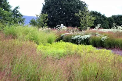 Donald Pell - Gardens - Patio Design & Installation in Phoenixville, PA