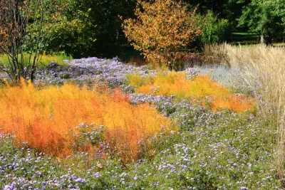 Fiery Entrance, Villanova — Landscape Design project by Donald Pell - Gardens in Villanova