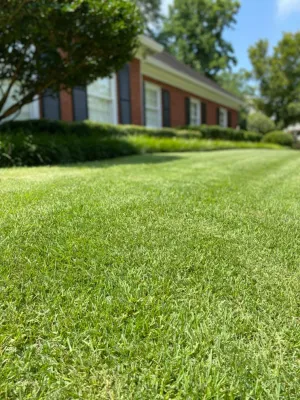 Highground Land & Hardscapes - Landscape Design in Marietta, GA
