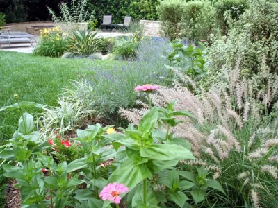 Dp Environments - Garden Remodeling in Arcadia, CA