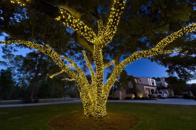 Seavers Landscape - Landscape Maintenance in Houston, TX