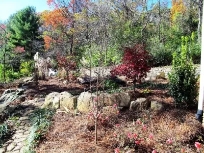 Signal Mountain Rain Garden by Dream Gardens Landscape Design & Installation
