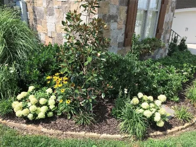 Hill Pointe - N. Chatt. Home by Dream Gardens Landscape Design & Installation
