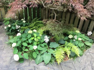 McCallie School Residence — Landscape Design project by Dream Gardens Landscape Design & Installation