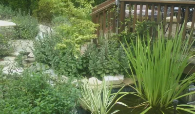 St. Elmo Contemporary Cottage — Landscape Design project by Dream Gardens Landscape Design & Installation