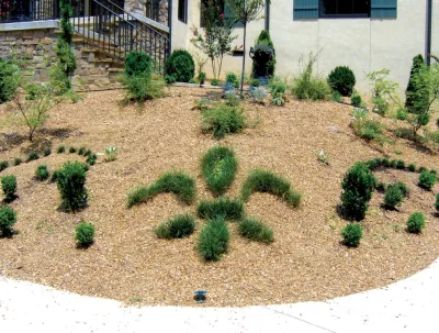 Mixed Styles by Dream Gardens Landscape Design & Installation