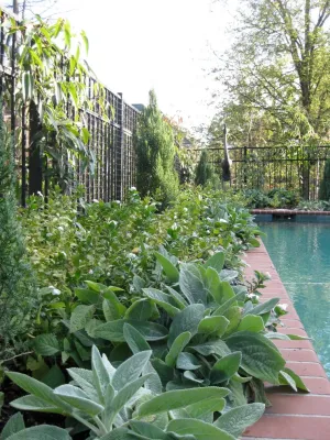 East Brainerd Estate Home — Landscape Design project by Dream Gardens Landscape Design & Installation