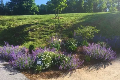 Hixson Lake Estate — Landscape Design project by Dream Gardens Landscape Design & Installation