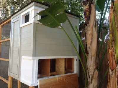 IB Crazy Coops - Landscape Design in San Diego, CA