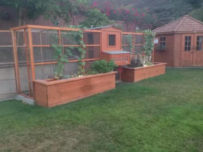 IB Crazy Coops - Landscape Design in San Diego, CA
