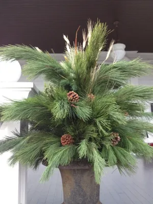 Winter Arrangements — Landscape Design project by Innovative Garden Design